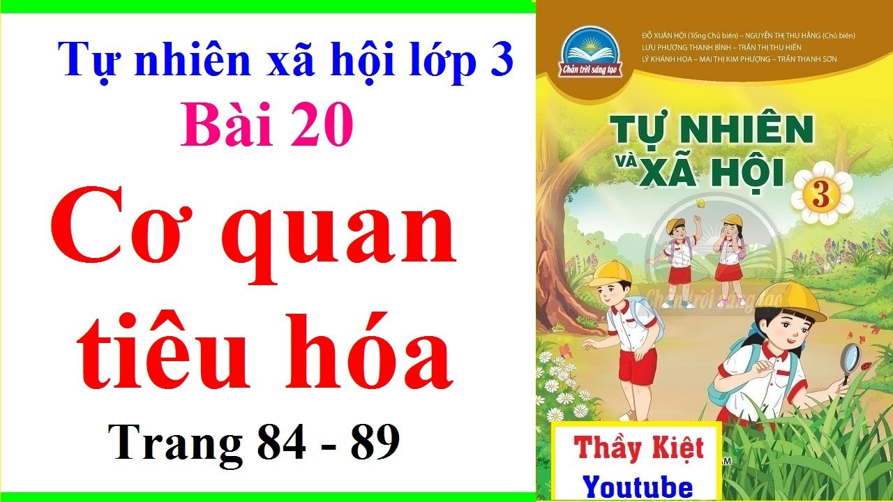 Tự Nhiên Xã Hội Lớp 3 Bài 20 | Cơ Quan Tiêu Hóa | Trang 84 - 89 | Chân Trời Sáng Tạo