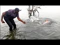 River fishing  professional hunter catching in big size rohu fishes