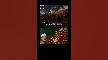 آواخر سورة الكهف- عبدالباسط بأداء لايُنسى