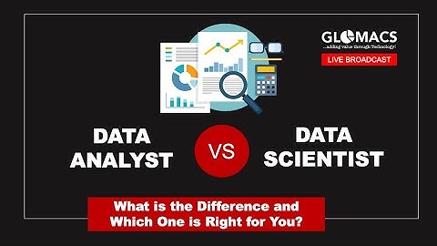 Data Analyst vs Data Scientist  |  Dr Johnson Iyilade
