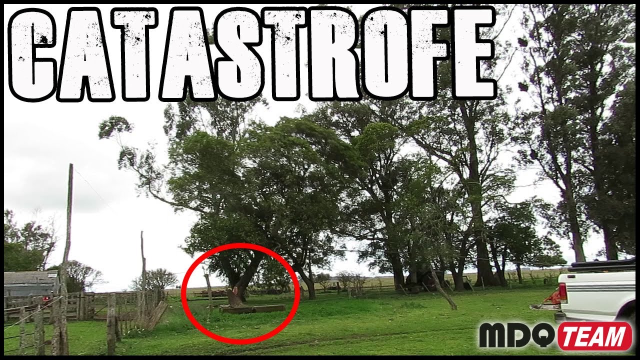 CATASTROFE FORESTAL - Se corta la soga y...