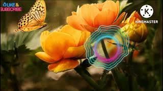 Dj Remix || tangisan anak rantau @lalaluluchanel8595