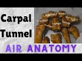 Carpal tunnel | Air Anatomy