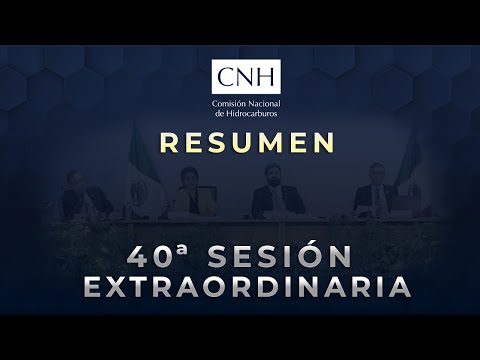 Resumen 40ª Sesión