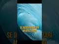 ¿Qué pasaría si el viento fuese en la misma dirección? #shorts