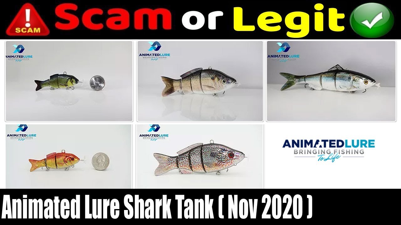 Animated Lure Shark Tank (Nov 2020) - Is animatedlure.com scam or