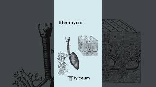Bleomycin An Anumor Cancer Fighting Antibiotic