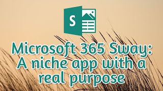 Create professional looking documents with Microsoft 365 Sway