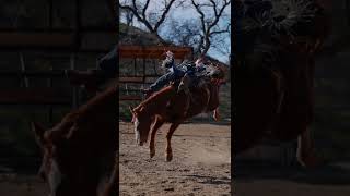 Mitchell Parham Bareback Riding