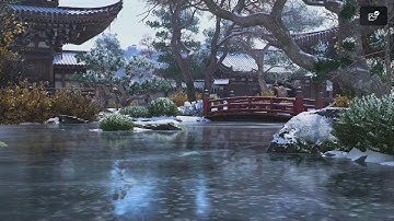 Assassins Creed Shadows - Part 27 "The Twisted Tree" cont...