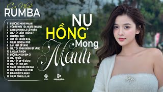 NỤ HỒNG MONG MANH  Ca Nhạc Rumba CỰC HÓT 2024, ÁNH NGUYÊN Cover Làm Tan Chảy Triệu Con Tim