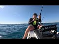 Sardine Run Surprise and super strong fish