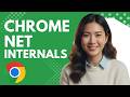 How to Use Chrome Net Internals on PC Step by Step