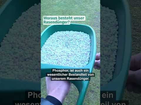 Video: Woraus besteht Rasen?