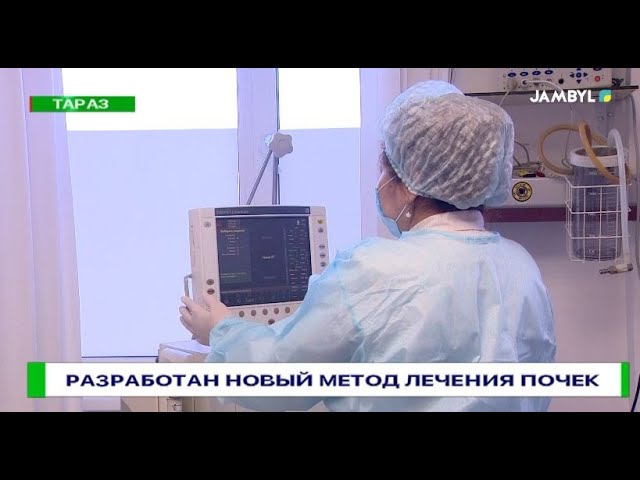 Разработан новый метод лечения почек