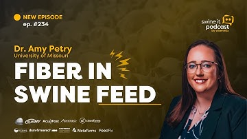 Dr. Amy Petry: Fiber in Swine Feed | Ep. 234