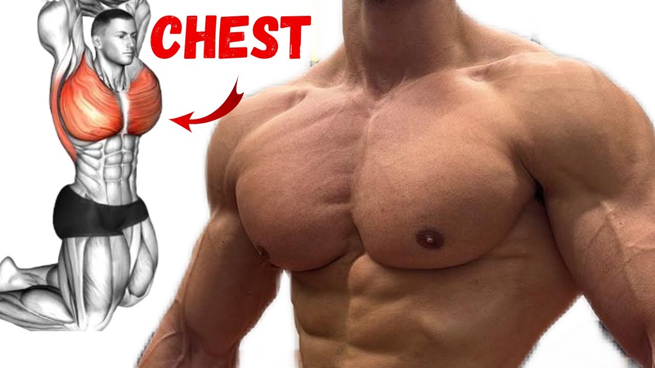 How To Get Bigger Fuller Chest | Best Chest Exercises - YouTube