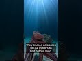 Octopuses Can Use Mirrors to Find Food - You Won't Believe This
