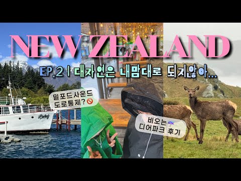 밀포드사운드 도로 폐쇄🚫, 비 오는 퀸즈타운은 극과 극🫢 뉴질랜드 남섬 캠퍼밴 여행 우당탕탕 현실 후기🚐 
