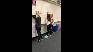 2017 2018 Mannequin Challenge