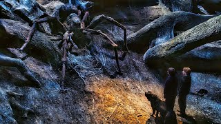 Spiders Attack Scene - Youre Aragog - Harry Potter And The Chamber Of Secrets 2002 Movie Clips