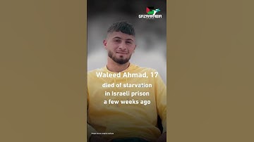 Grow Your Tribe  Community Building Secrets