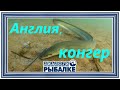 Диалоги о рыбалке - 083 / Англия. Конгер