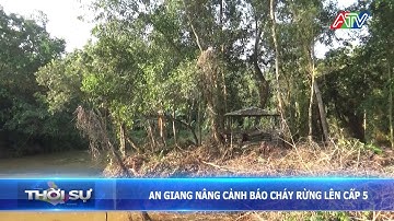 An Giang nâng cảnh báo cháy rừng lên cấp 5 | Đài Truyền hình An Giang