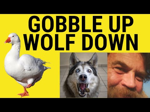 Wolf Down - Gobble Up - Gobble Down - Bolt Down - Meaning - Phrasals - British English Pronunciation