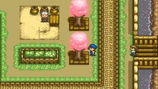 DreamSNES 0.9.8 - Harvest Moon