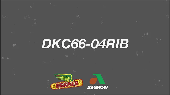 DKC66-04RIB