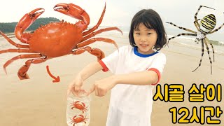 여름! 시골살이 12시간 라임가족 여행 브이로그 모음 family travel vlog