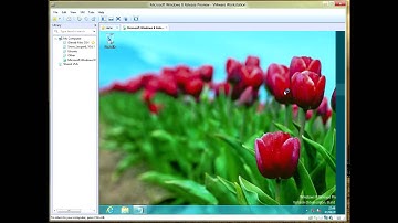 Windows 8 Release Preview on VMware workstation