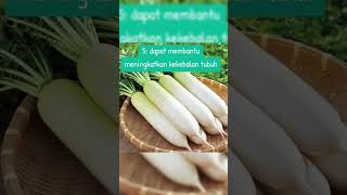 TERNYATA LOBAK MEMILIKI BANYAK MANFAAT YG ORANG JARANG TAU  #faktamakanan  #foodshorts #kuliner