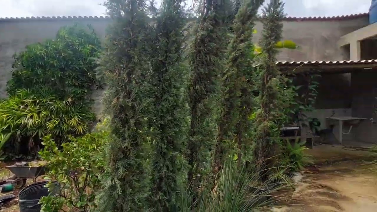 Terreno/lote comercial com 1.000M² a venda no Bairro Bandeirantes(Pampulha)