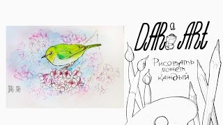 Рисуем иллюстрации! Как нарисовать птицу акварельными карандашами и линерами! #Dari_Art(Свои идеи к видео урокам оставляйте в группе ВК https://vk.com/dari_art_artist Для работы нам потребуется: Простой каранд..., 2016-06-17T07:36:54.000Z)
