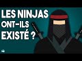 Le Mythe des Ninjas