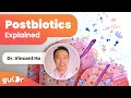 What are postbiotics  gutdr miniexplainer