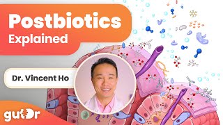 What Are Postbiotics? | GutDr Mini-Explainer