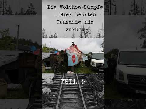 Part 2: The Volkhov Marshes – Where thousands never returned