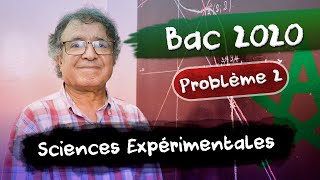 BAC 2020 SVT & PC Correction de Maths - Problème 2: Fonctions