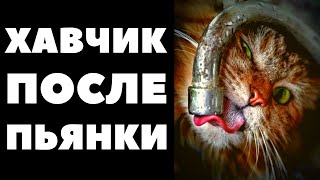  Что есть с похмелья Против алкогольной интоксикации
