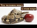 "Без веры угодить Богу невозможно". Я. Хрипков. МСЦ ЕХБ