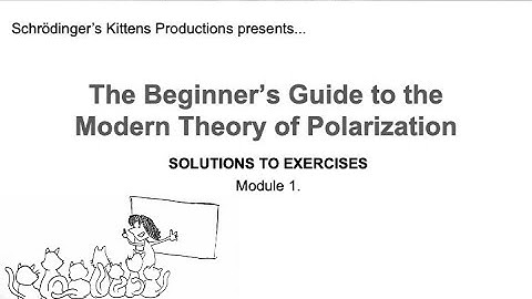 The Beginner