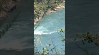 The search for a teen who fell into the Niagara River continues