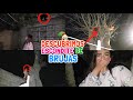 CAPTAMOS UNA BRUJA☠️ *vive en nuestro árbol*🌳 ¡TIRAMOS SU CASA! 🏠 |Jaque Argaes