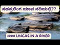 Sahasralinga river shrine with 1000 lingas      short.s