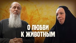 видео: О любви к животным картинка: О любви к животным
