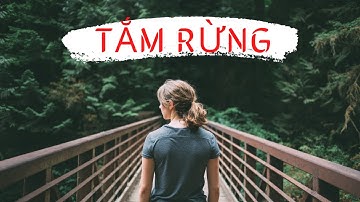 TẮM RỪNG - Phương Pháp Detox Bằng Thiên Nhiên