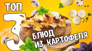 3 БЛЮДА ИЗ КАРТОФЕЛЯ, которые вы приготовите еще много раз. Очень вкусно